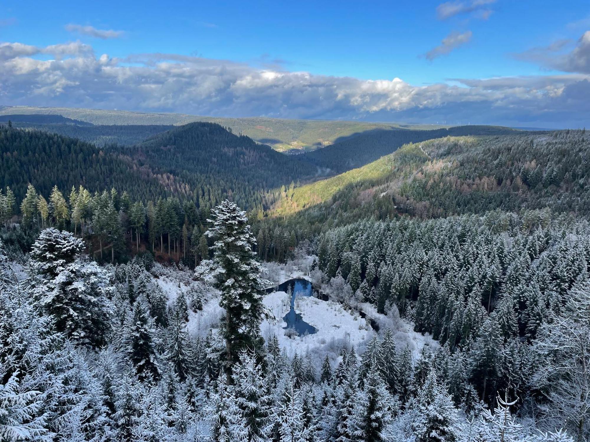 Casa Black Forest - Kniebis